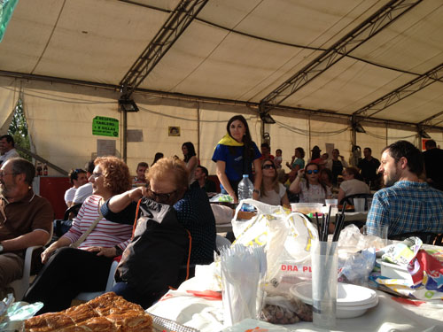 FIESTAS DE SAN ANTONIU 2014
