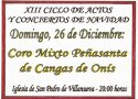 CONCIERTO DE NAVIDAD en el PARADOR de CANGAS DE ONÍS (tn_125x90_Cartel-Parador-2010.jpg)